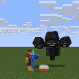 Wither_the_Storm