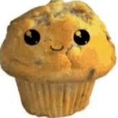 TheCosmicMuffin