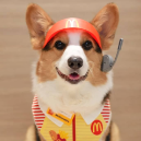 CoreySoCool