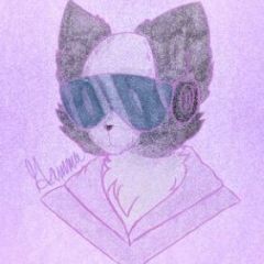 Gamma_Raize