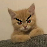 QuinnTurner
