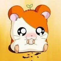HummytheHamster