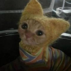 scoobi