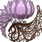 Zephyra318