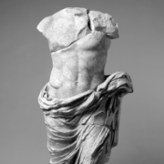 Chrysophylax