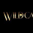 WildCardCity
