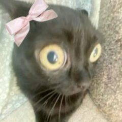 Kazuha