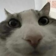 HyperGN