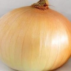 Onion