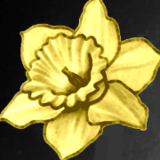 anwrywaidd