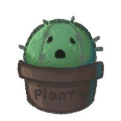 WeenkWonk