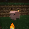 Anima