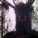 Shrubbery-Knight