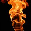 Torch444